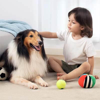 Apto para hogares con niños y mascotas